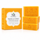 Tropical Citrus Exfoliating Soap